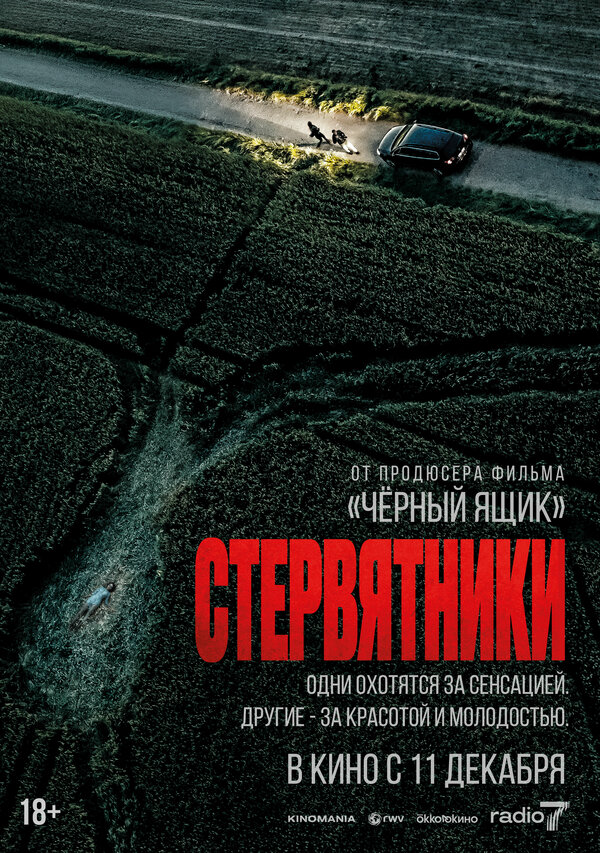 Стервятники 2025 смотреть онлайн бесплатно
